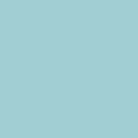 Brigth Turquoise